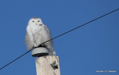 IMG_8480--2--NS.jpg