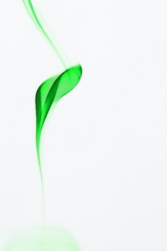 Chlorophylle