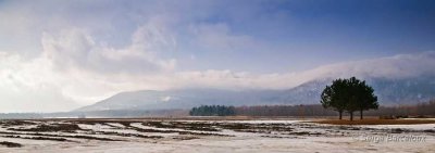 SB_pilogue de l'hiver