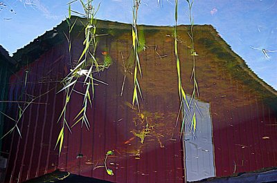MO-Ma cabane engloutie -MGP3568-.jpg