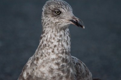 20120120-DSC_2877.jpg