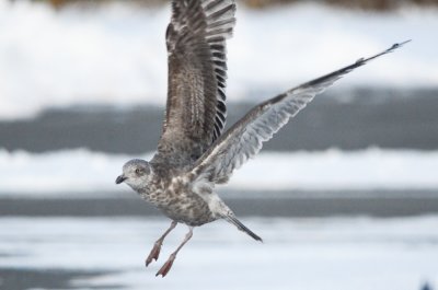 20120120-DSC_2900.jpg