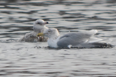 20120128-DSC_4813.jpg