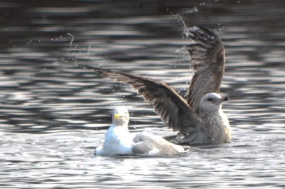20120128-DSC_4817.jpg