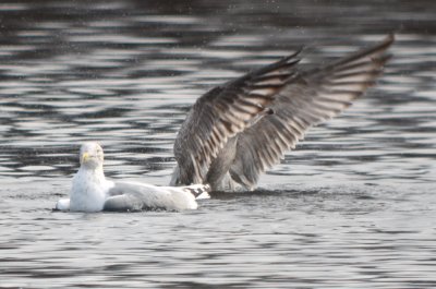 20120128-DSC_4821.jpg