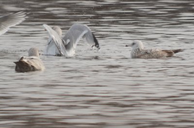 20120128-DSC_4876-2.jpg
