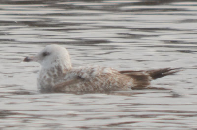 20120128-DSC_4876.jpg