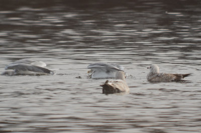 20120128-DSC_4879-2.jpg