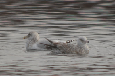 20120128-DSC_4890.jpg