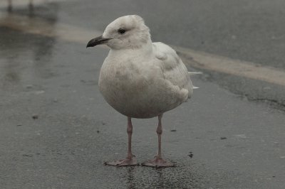 20110421-DSC_0013.jpg