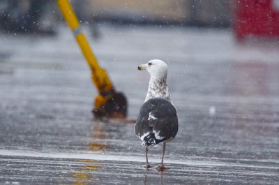 20120211-DSC_8671.jpg