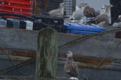 20120211-DSC_8696-2.jpg