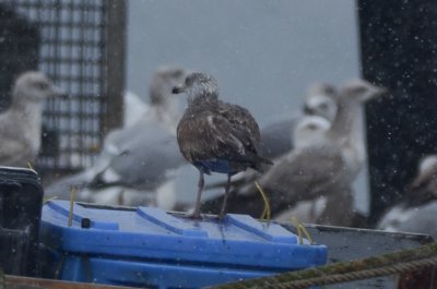 20120211-DSC_8696.jpg