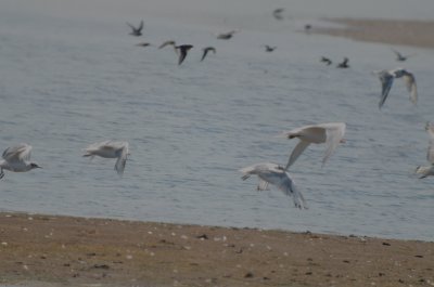 20120708-DSC_1969.jpg