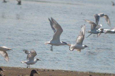 20120708-DSC_1968.jpg