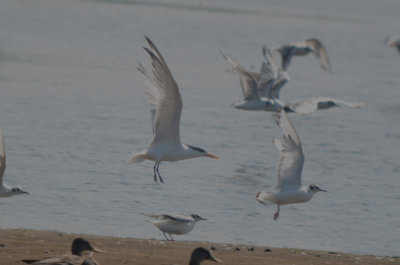 20120708-DSC_1967.jpg