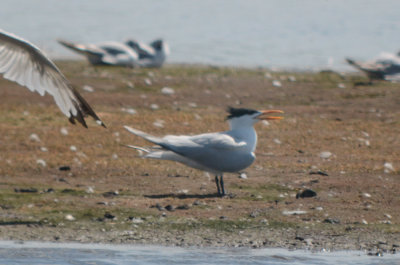 20120708-DSC_2013.jpg