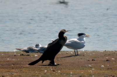 20120708-DSC_1934.jpg
