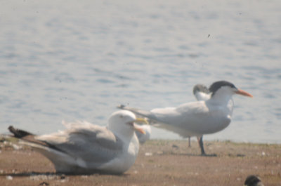20120708-DSC_1813.jpg