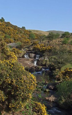 Dartmoor Stream - Meldon.