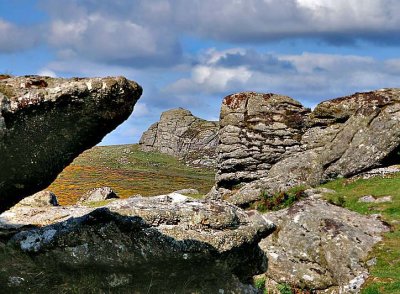 Dartmoor Rockscape.