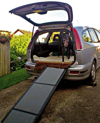 Peggy's Car Ramp