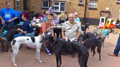 Escott Greyhound Walk 014X.jpg