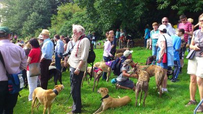 Escott Greyhound Walk 024X.jpg