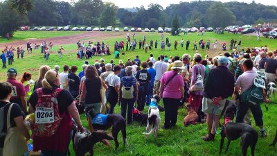 Escott Greyhound Walk 025X.jpg