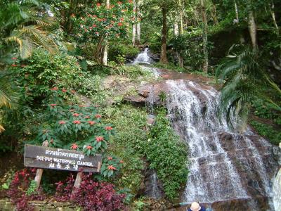 Doi Pui Waterfall Garden.JPG