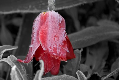 Winter Again