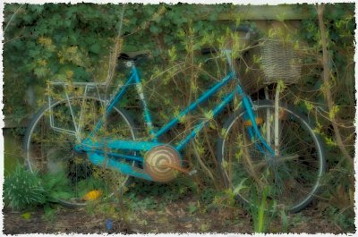 Bike in Decay