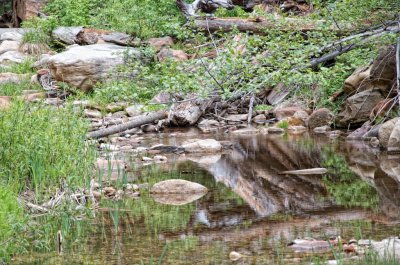 West Fork Trail - 5