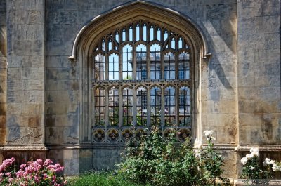 A window with a view