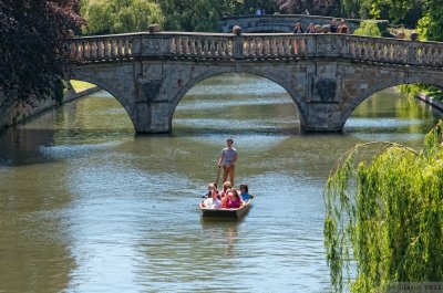 Punting on the Cam