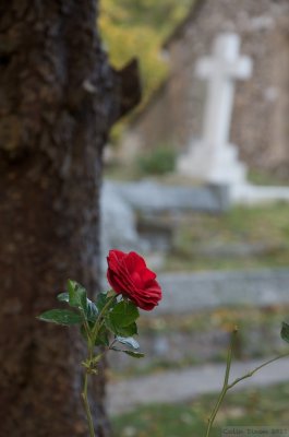 Church Yard.
