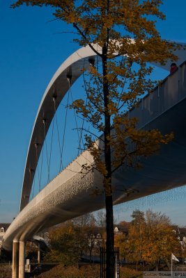 The New Bridge over the River Maas