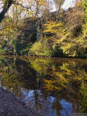 More Autumn reflections.