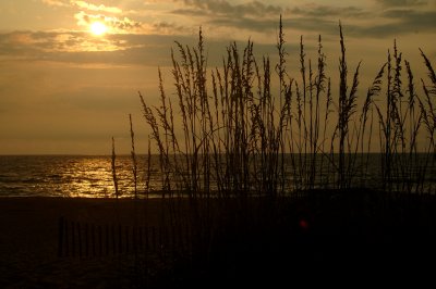 Sunrise on the beach.jpg