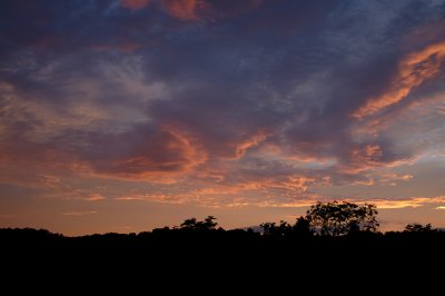 Sunset along Quicks Mill Rd.jpg