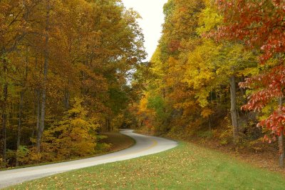 Winding Pkwy.jpg