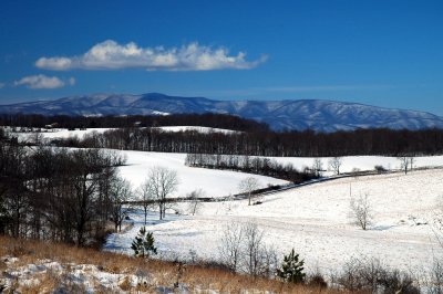 January Snow.jpg