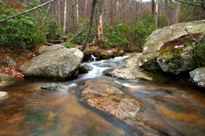 At the Top of Crabtree Falls.jpg
