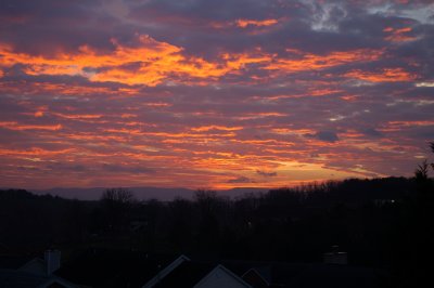DSC_5366.jpg
