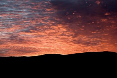 DSC_9776-1.jpg