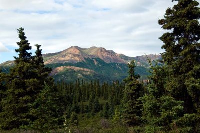Along the Denali Highway