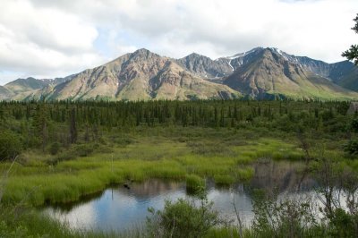 DSC_2617.jpg