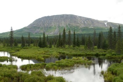 DSC_2752.jpg