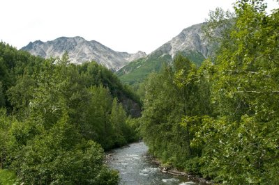 DSC_2772.jpg