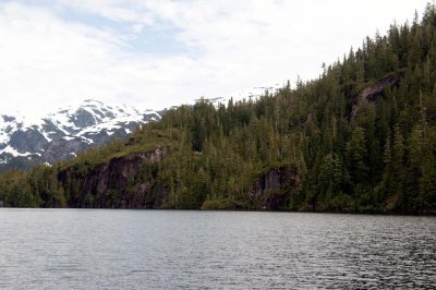 DSC_4216.jpg